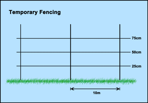 Temporary Electric Fencing Spacing for Sheep