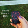 Electric Fence Beeper Tester Showing That Fence is Live