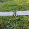 20mm-Buckle-Connector-Electric-fence-tape-in-Use-